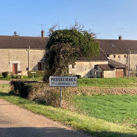 Longere Campagne 10 Pers. Proche Guedelon Villa Sougeres-en-Puisaye ภายนอก รูปภาพ