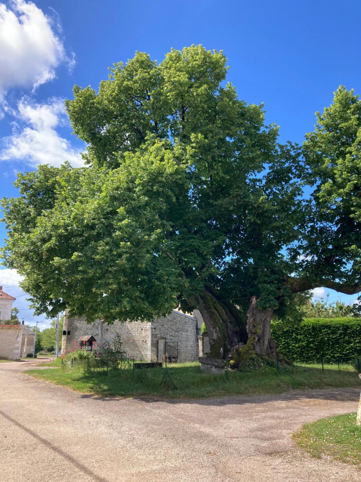 Longere Campagne 10 Pers. Proche Guedelon Villa Sougeres-en-Puisaye ภายนอก รูปภาพ